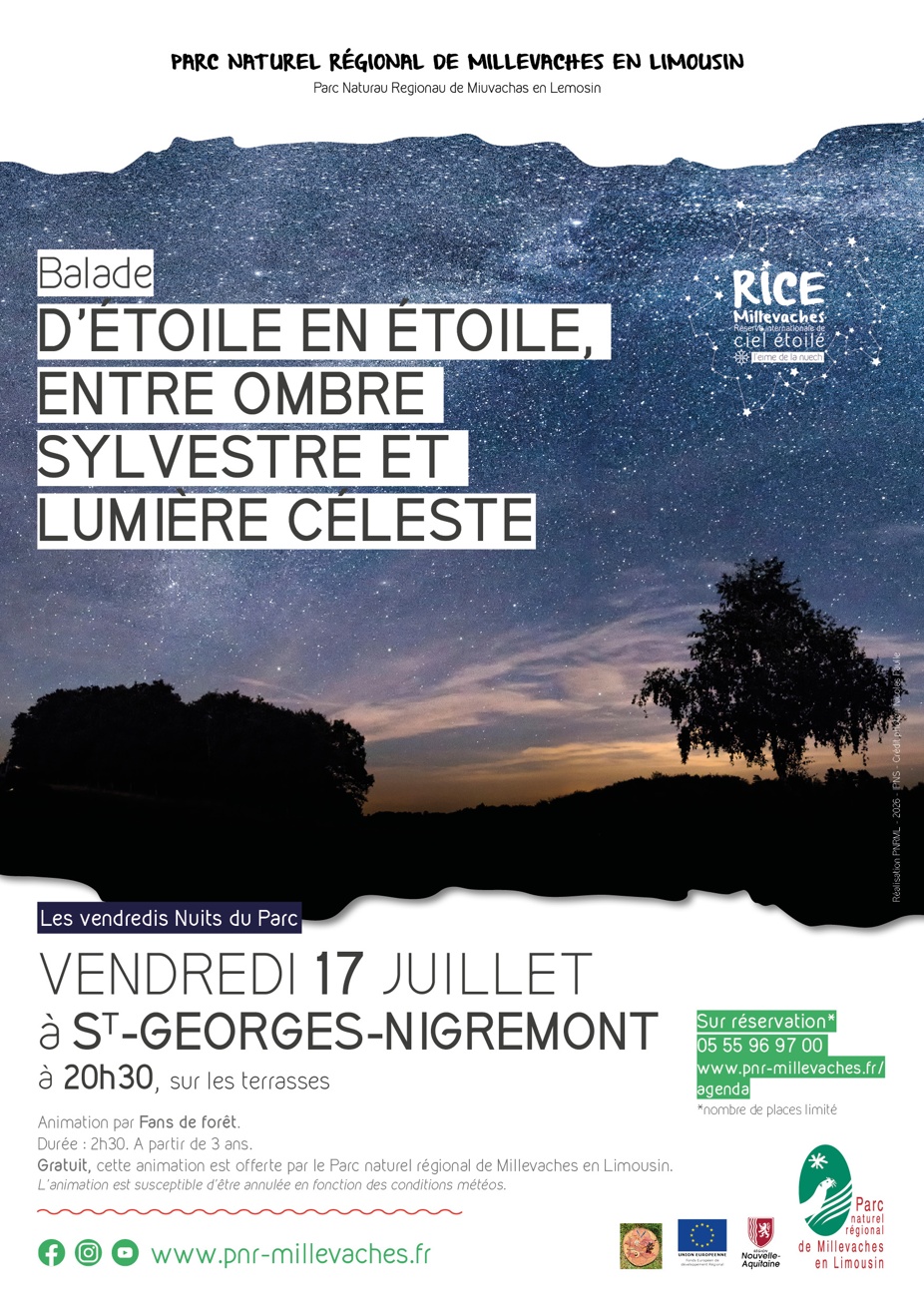 D'étoile en étoile, entre ombre sylvestre et lumière céleste — visuel événement