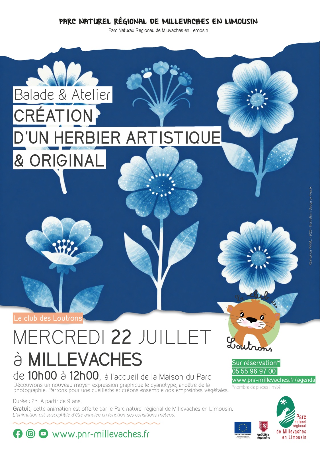 Création d'un herbier artistique et original