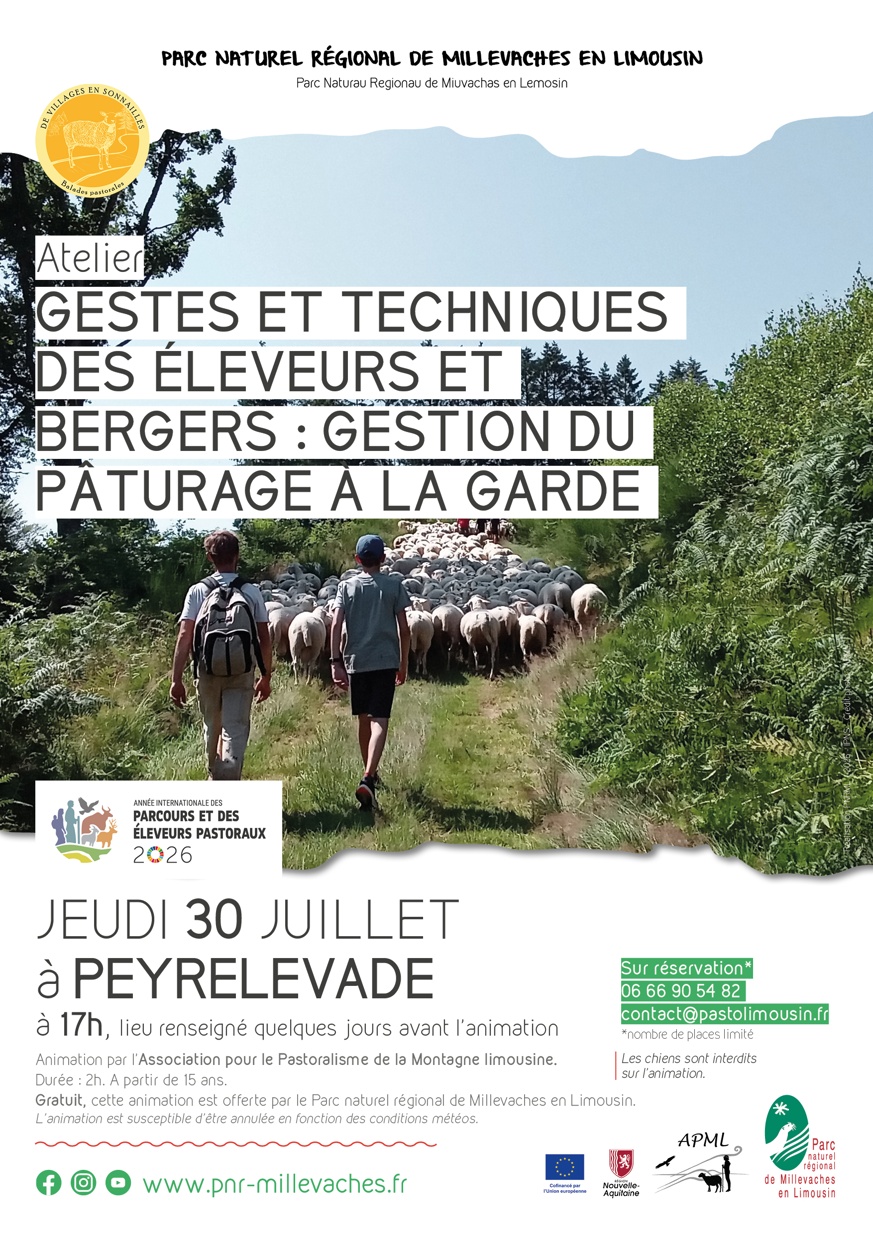 Gestes et techniques des éleveurs et bergers : gestion du pâturage à la garde