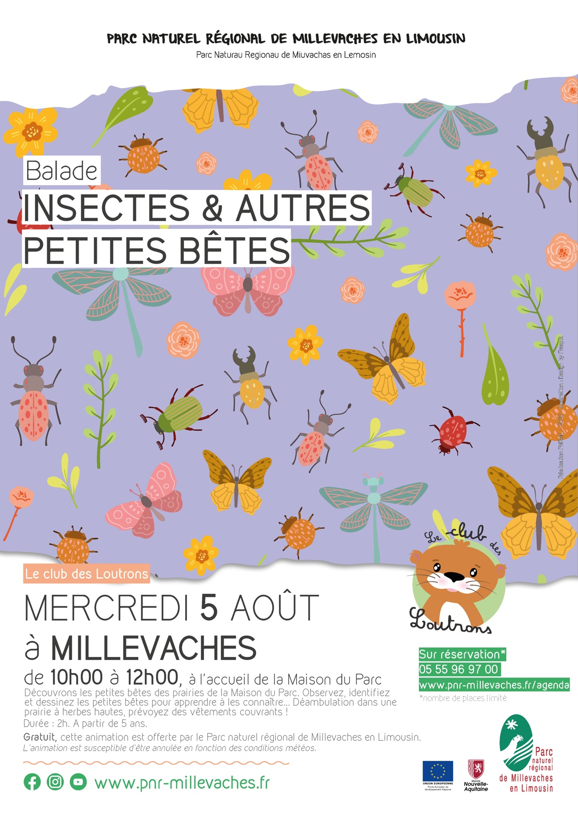 Atelier insectes et autres petites bêtes — visuel événement