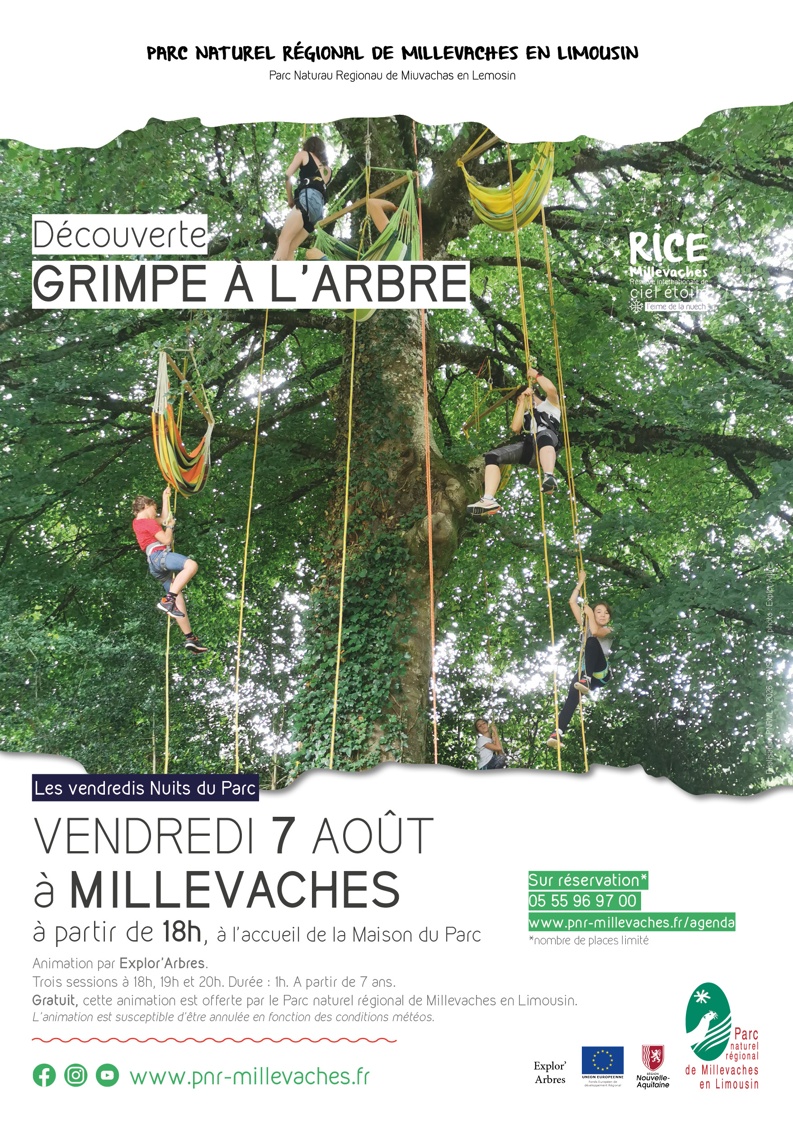 Grimpe d'arbre — visuel événement