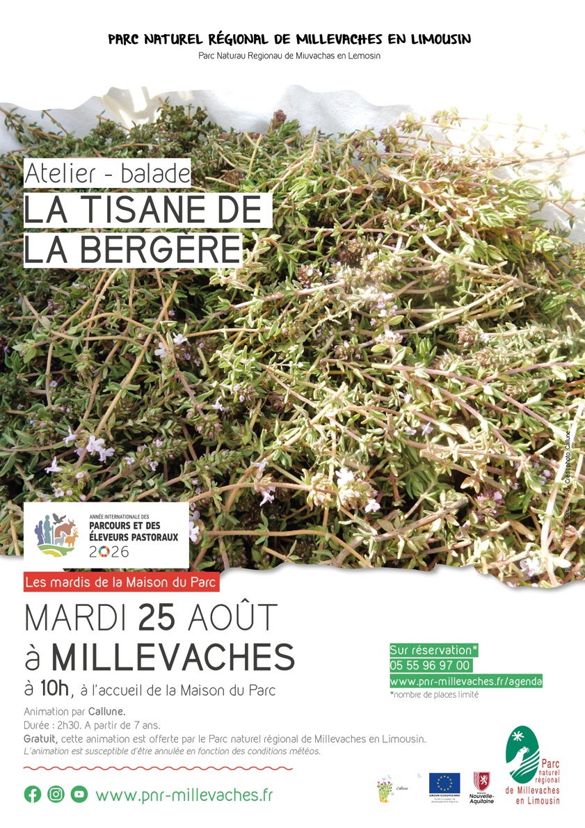 Atelier La tisane de la bergère — visuel événement
