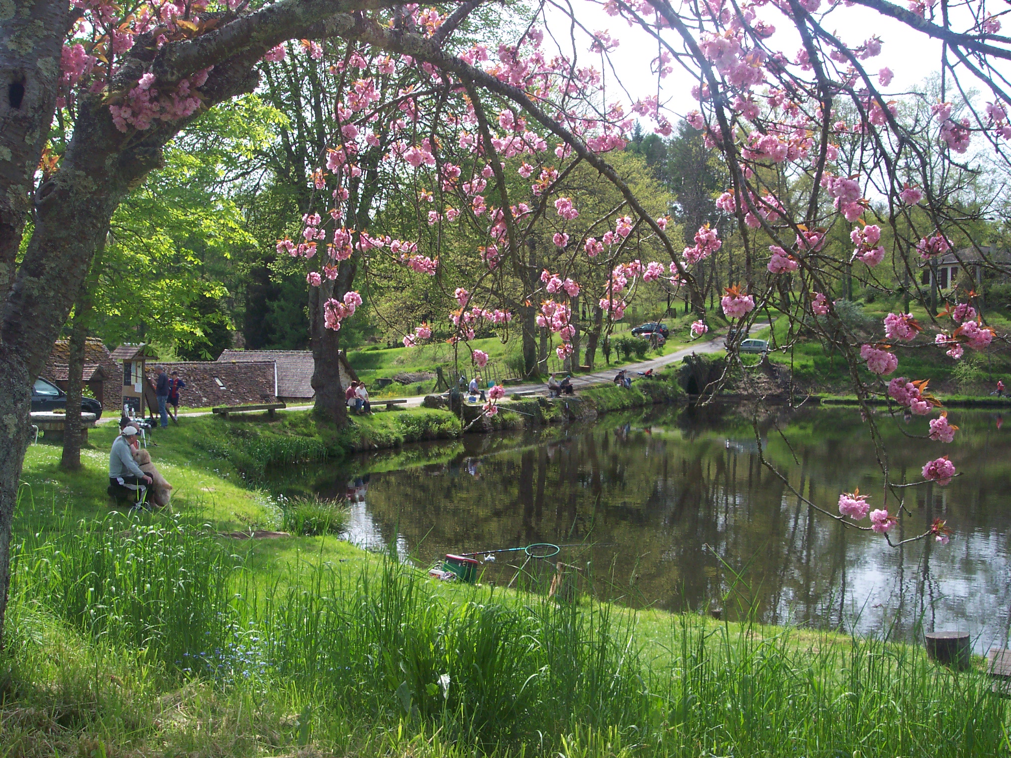Pisciculture du Domaine du Moulin Authier - photo 2