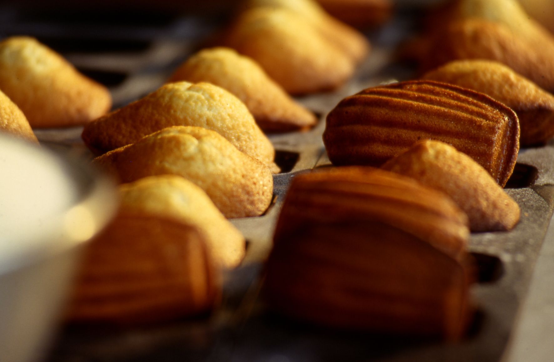Madeleines — photo 2