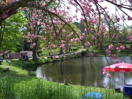 Domaines du Moulin Authier : Meublé  Le Gîte du Pêcheur, Coussac-Bonneval - photo 5