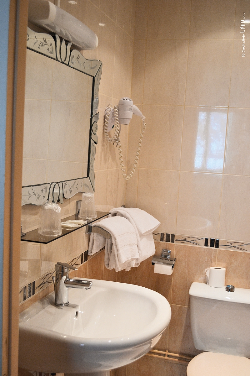 Hôtel Les Platanes - photo 3