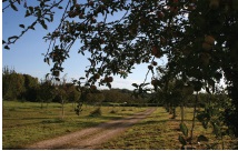 Sentier des belles limousines, Glandon