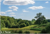 Sentier des aurières, Le Chalard - photo 2