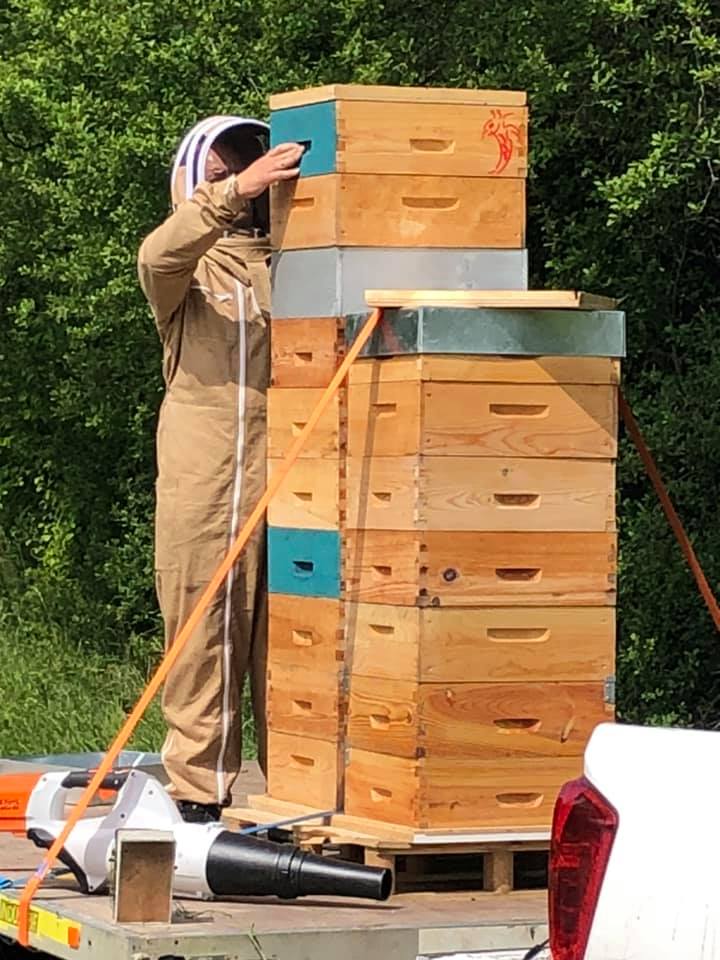 Arts Abeilles Apiculture - Haras des Star : miel et produits de la ruche - photo 2