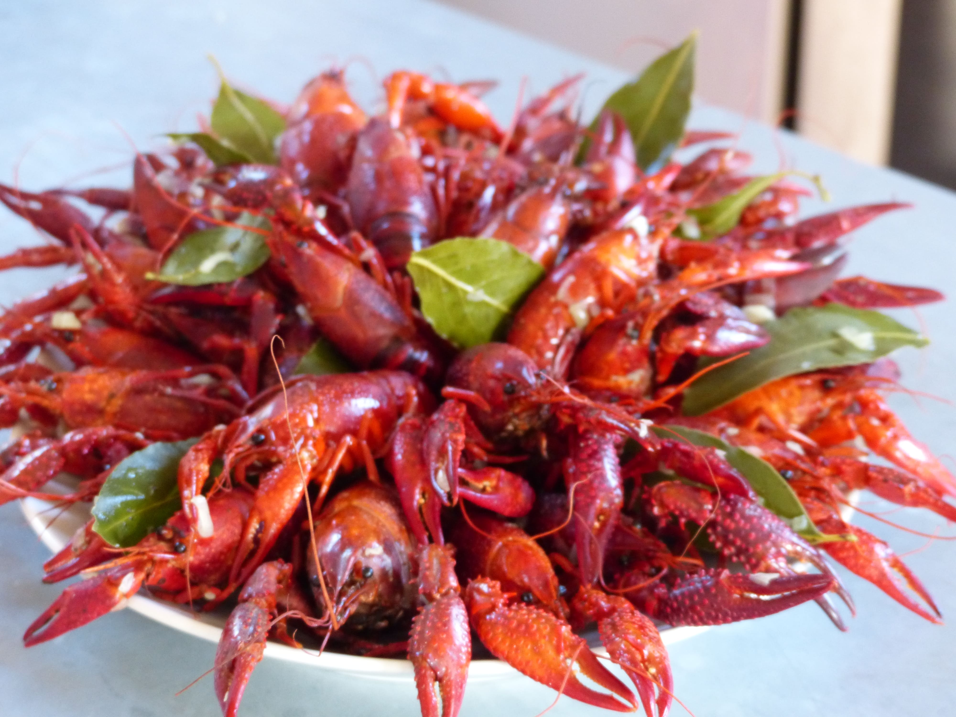 Pisciculture du domaine du Moulin Authier, production de truites et produits frais — photo 2