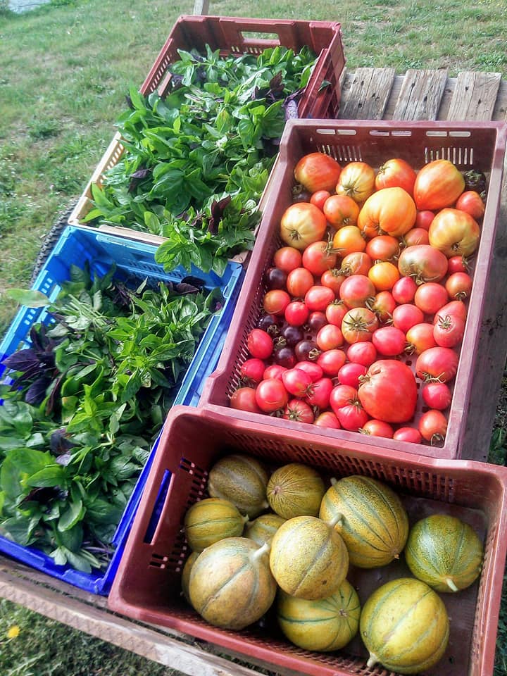 La ferme des Tuileries - photo 4