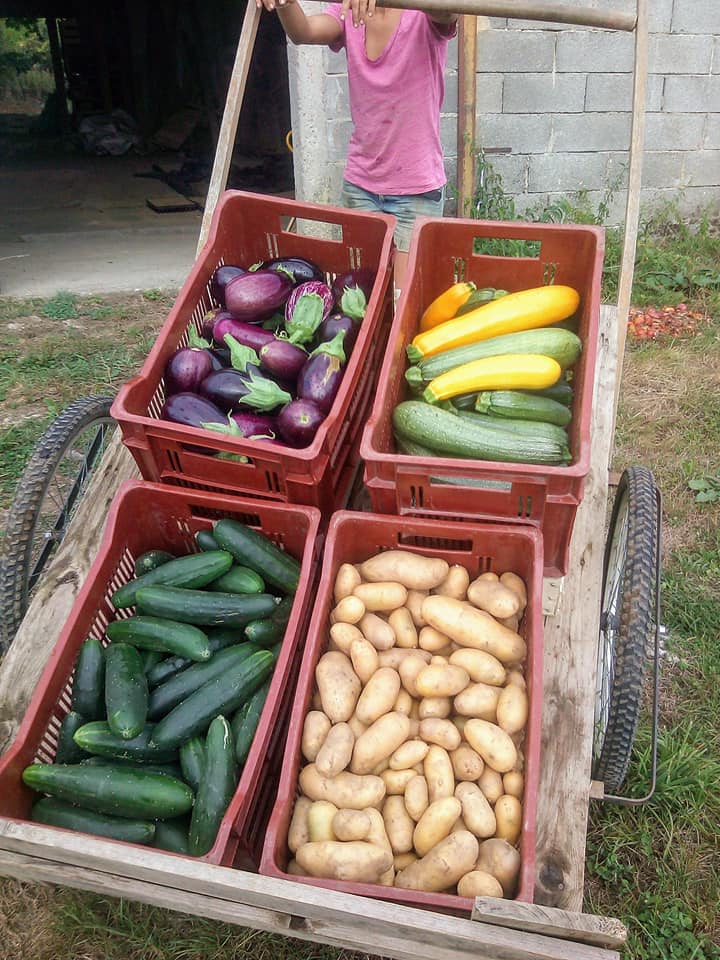 La ferme des Tuileries