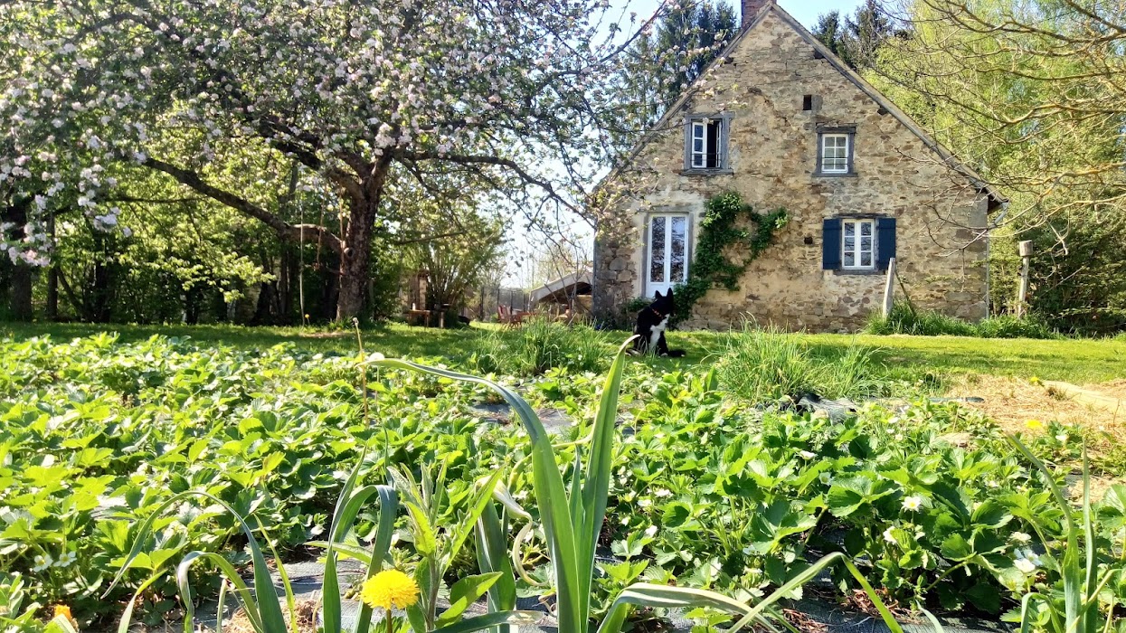 La Jaurie - camping Accueil-Paysan, Ladignac-le-Long - photo 8