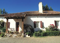 Petit Pigon - photo 3