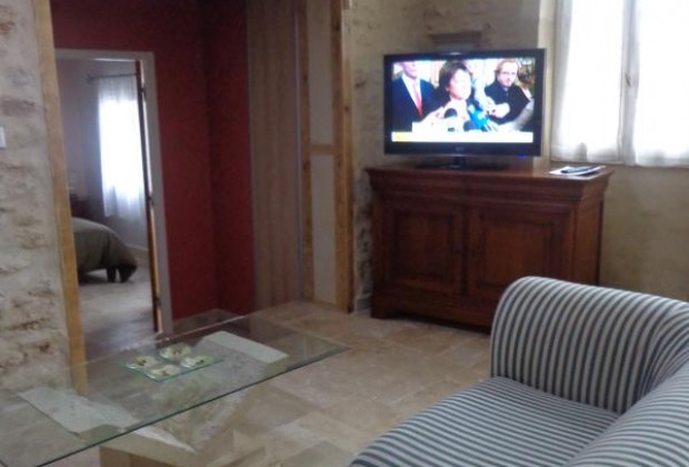 Les bernaches, Villenave - photo 9