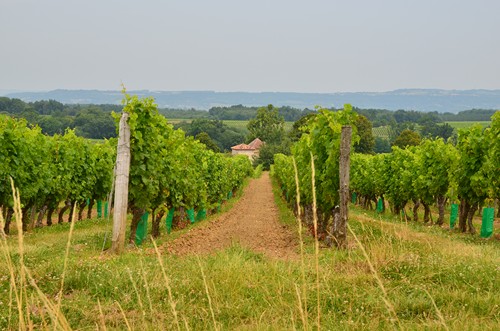 La Randonnée des bastides et châteaux en Albret, Lavardac - photo 7