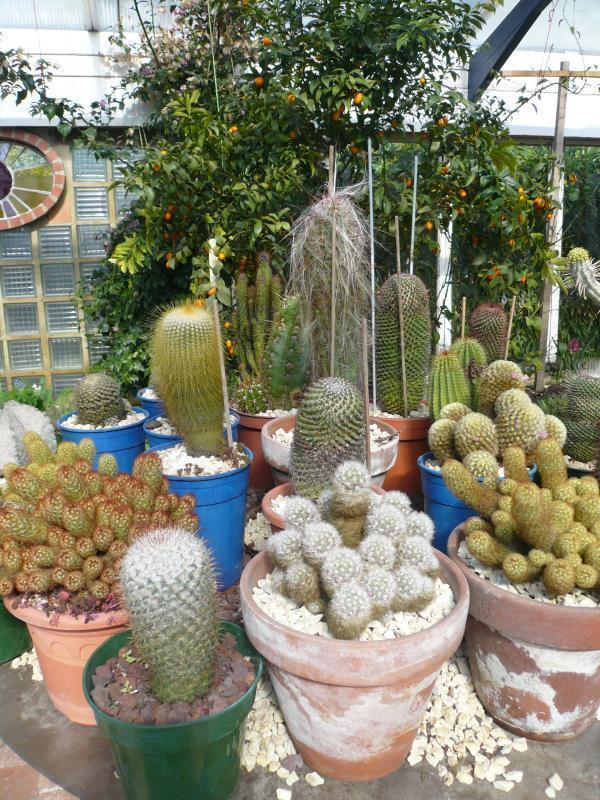 Lacrouzade, Mées - photo 4