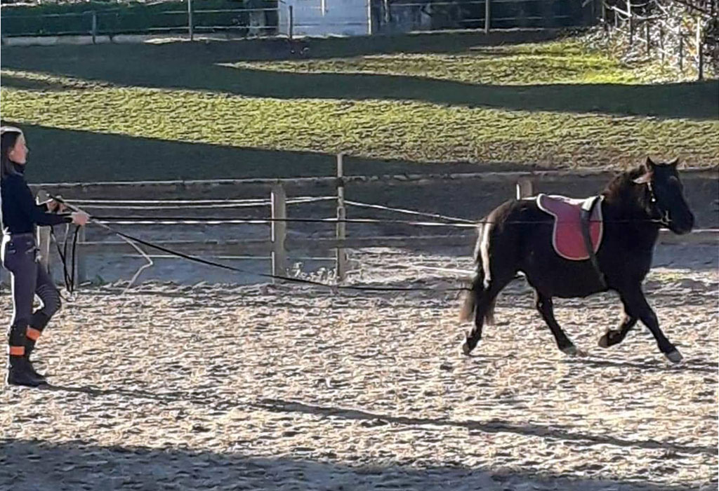 Écurie Du Pradeaux - photo 3