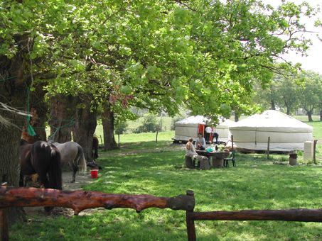Domaine de Gauchoux, Peyrat-de-Bellac - photo 8