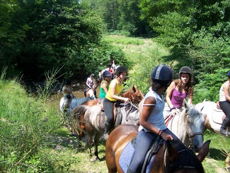 Domaine de Gauchoux, Peyrat-de-Bellac - photo 5