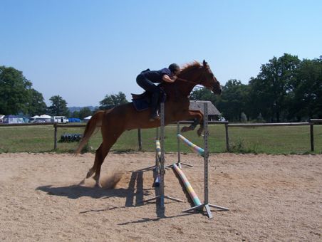 Domaine de Gauchoux, Peyrat-de-Bellac - photo 6