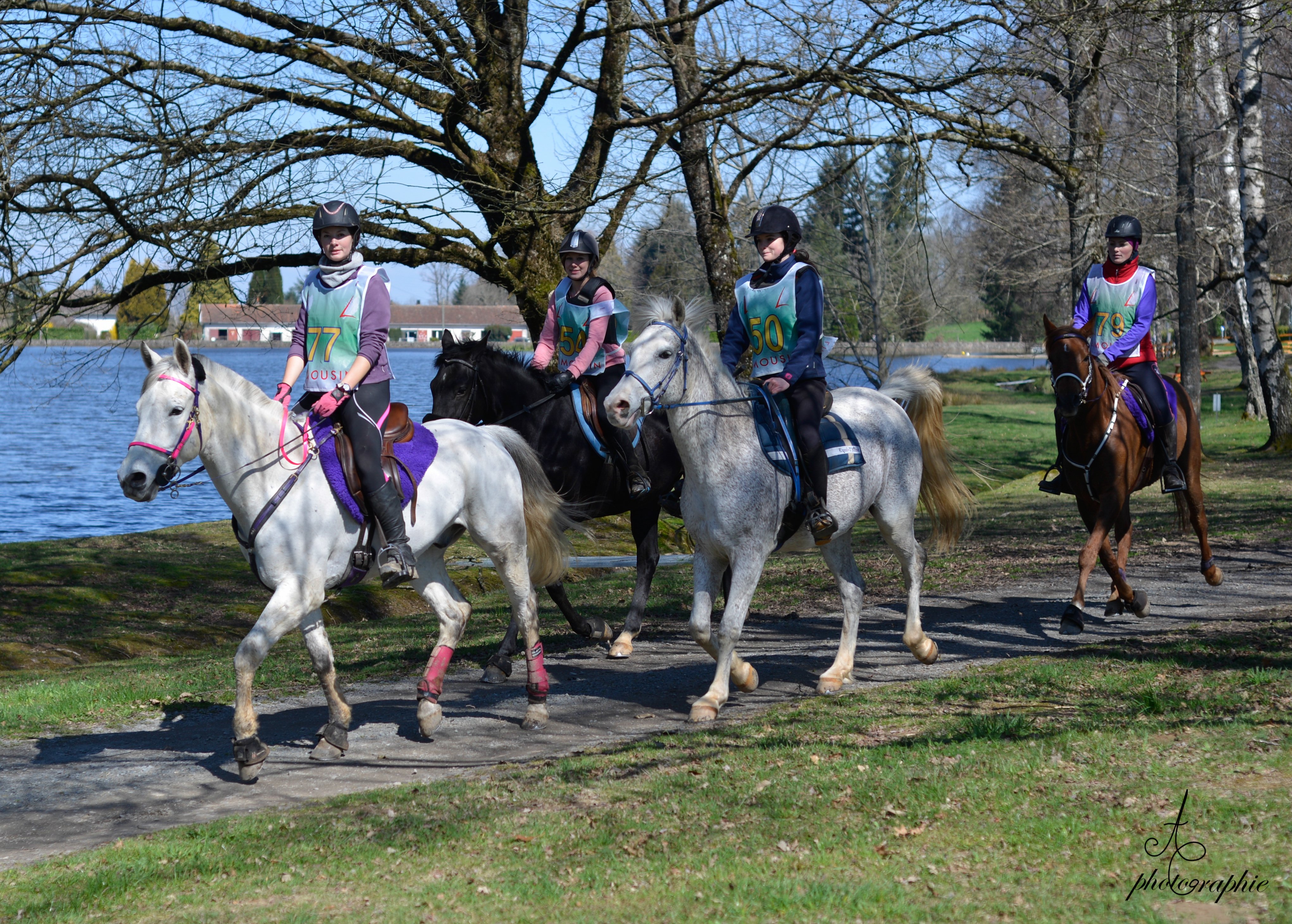 Sentier des carrieres (Equestre), Nexon - photo 2