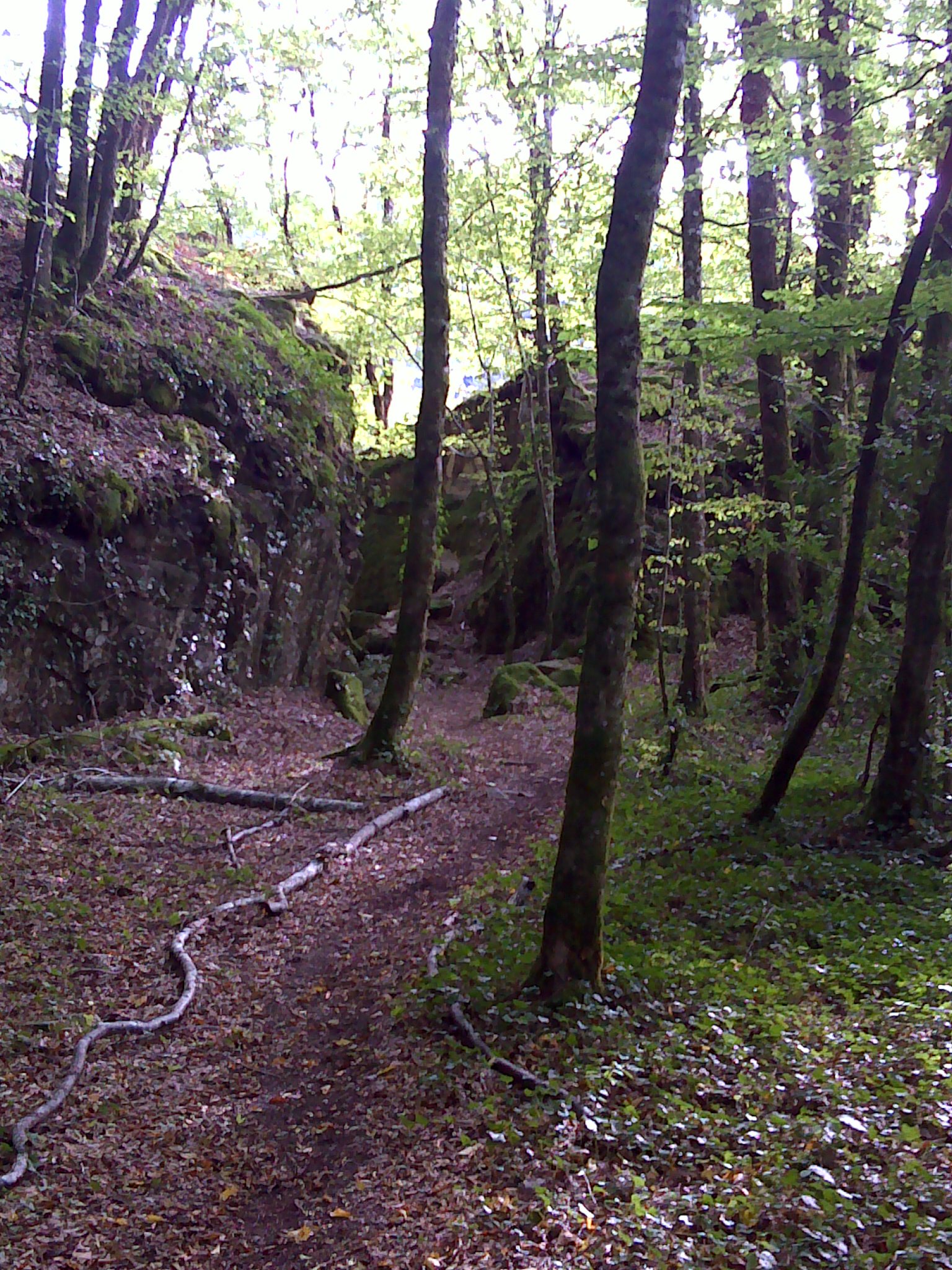 Boucle Camps par Le Rocher du peintre, Camps-Saint-Mathurin-Léobazel - photo 2
