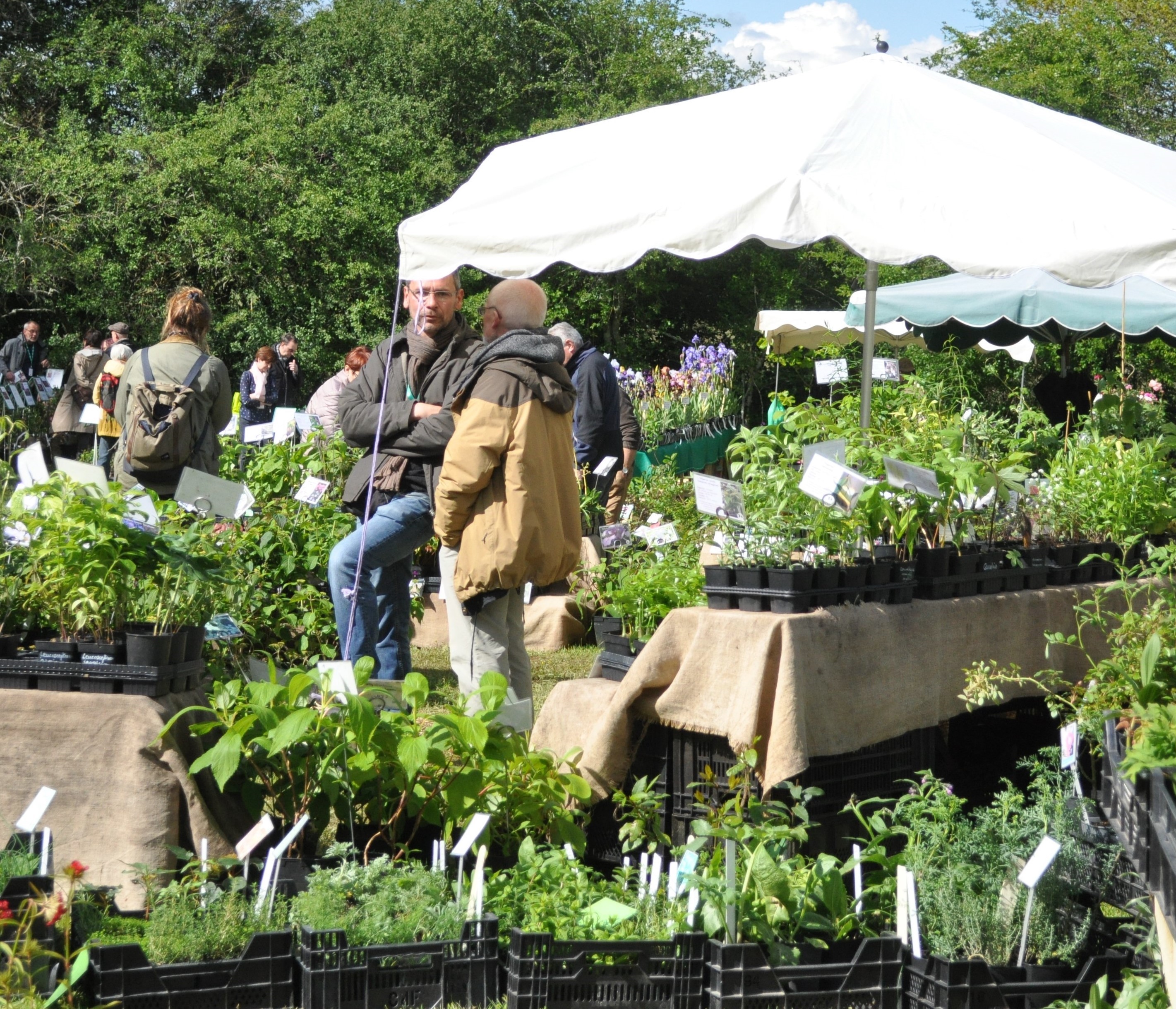 Journées des plantes de printemps, Crozant - photo 2