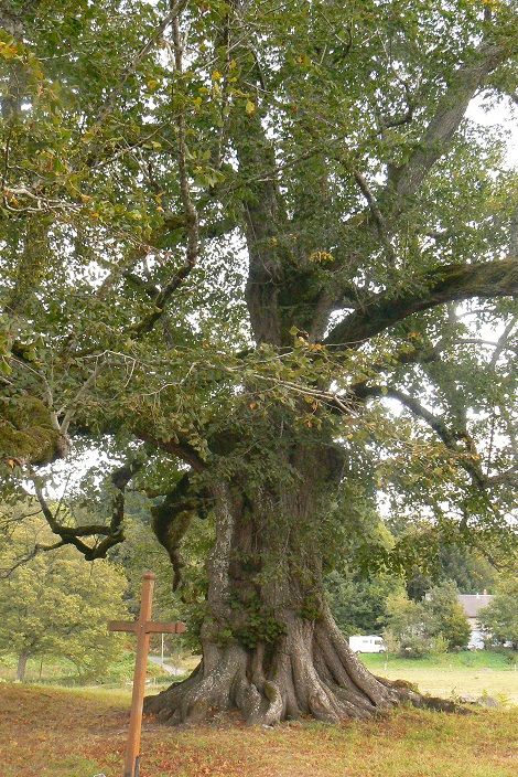 Chapelle du Mas Saint Jean - Saint Sulpice le Dunois, Saint-Sulpice-le-Dunois