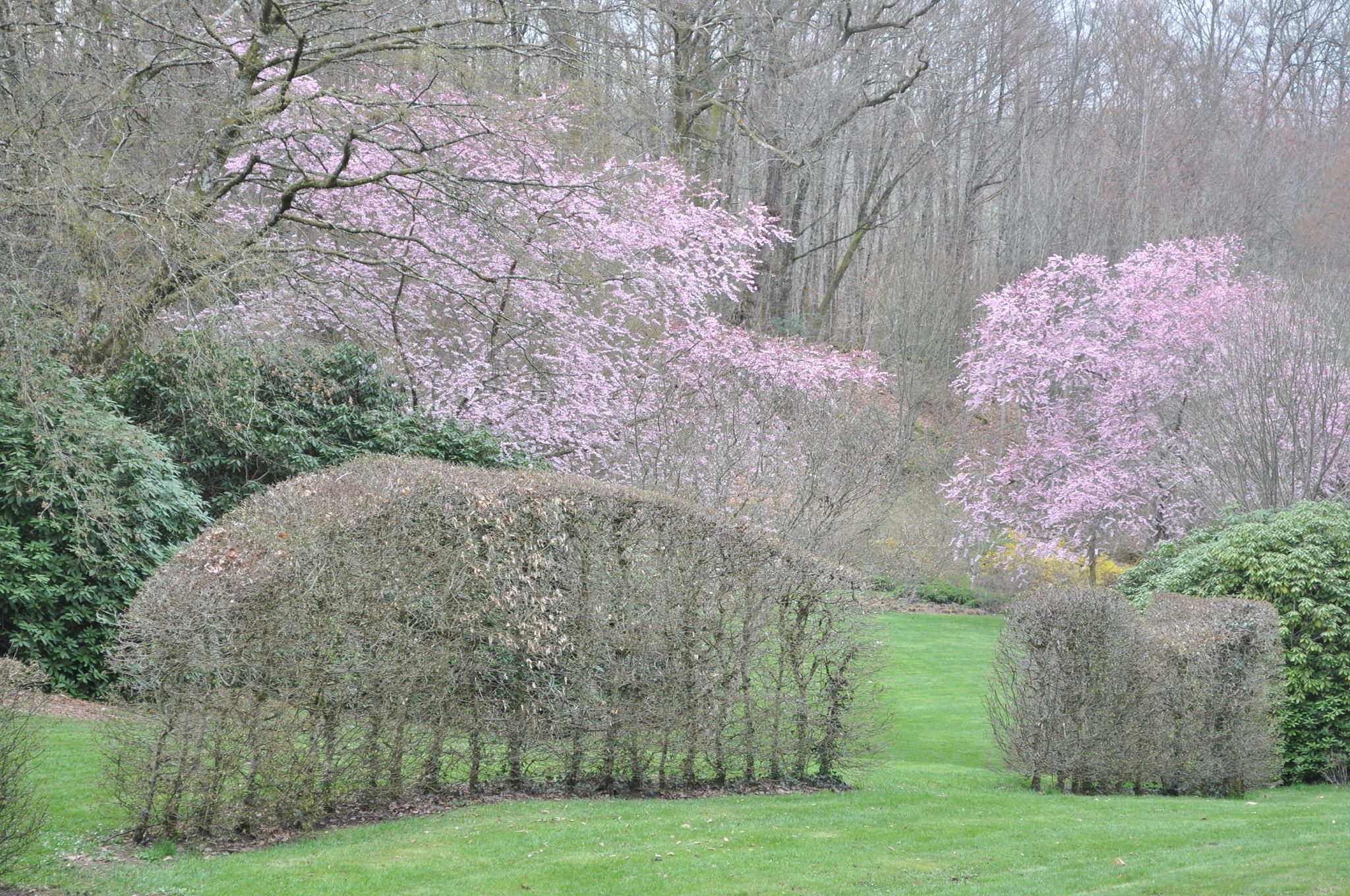 Arboretum de la Sédelle, Crozant - photo 5
