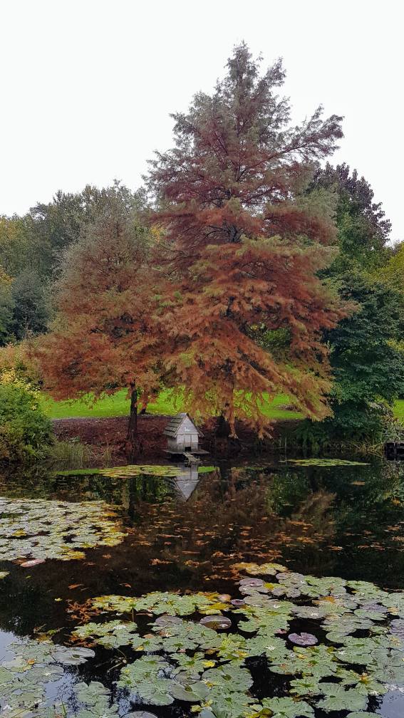 Arboretum de la Sédelle, Crozant