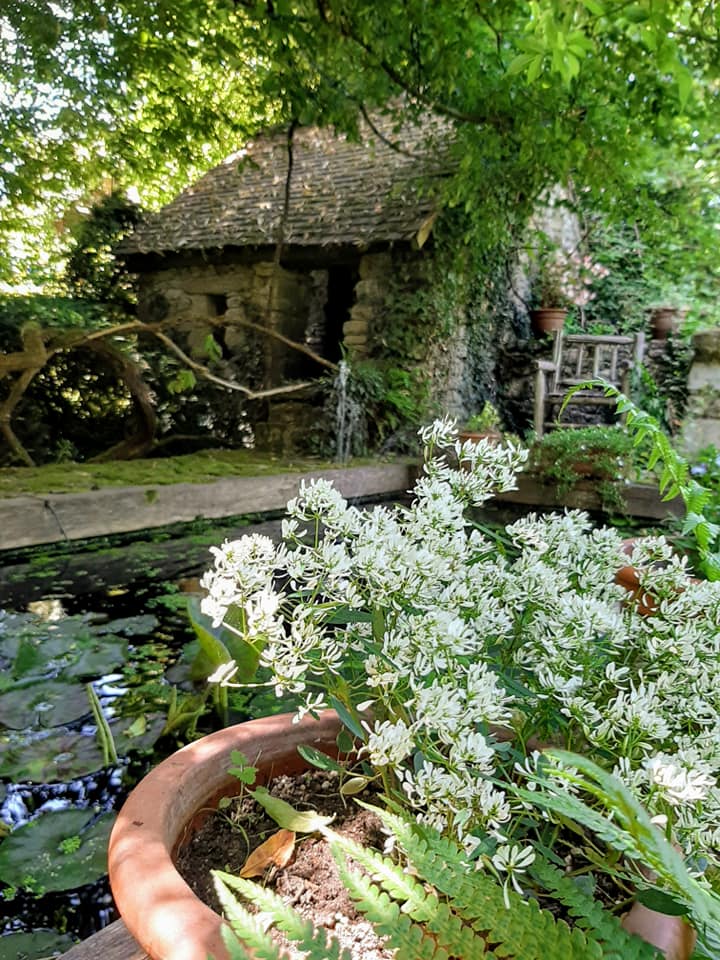 Jardins Clos du Préfons, Crozant