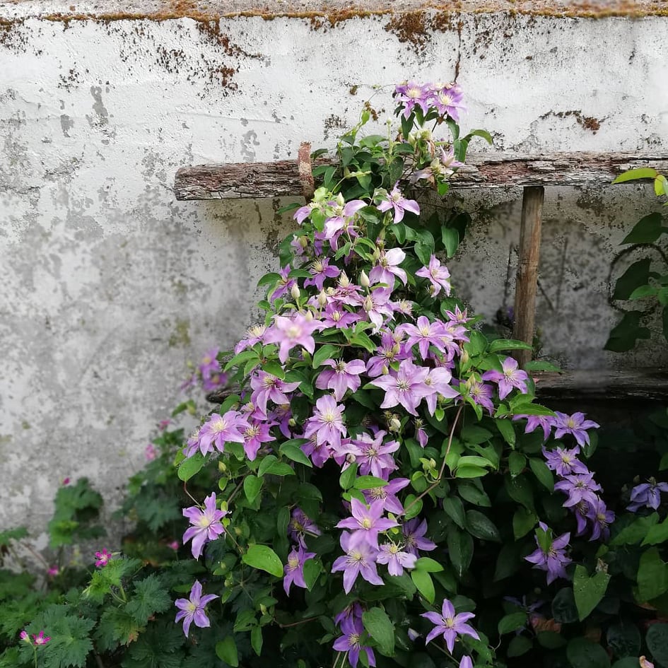 Chez Madlou gîte Grande Capacité 15 personnes, Colondannes - photo 5
