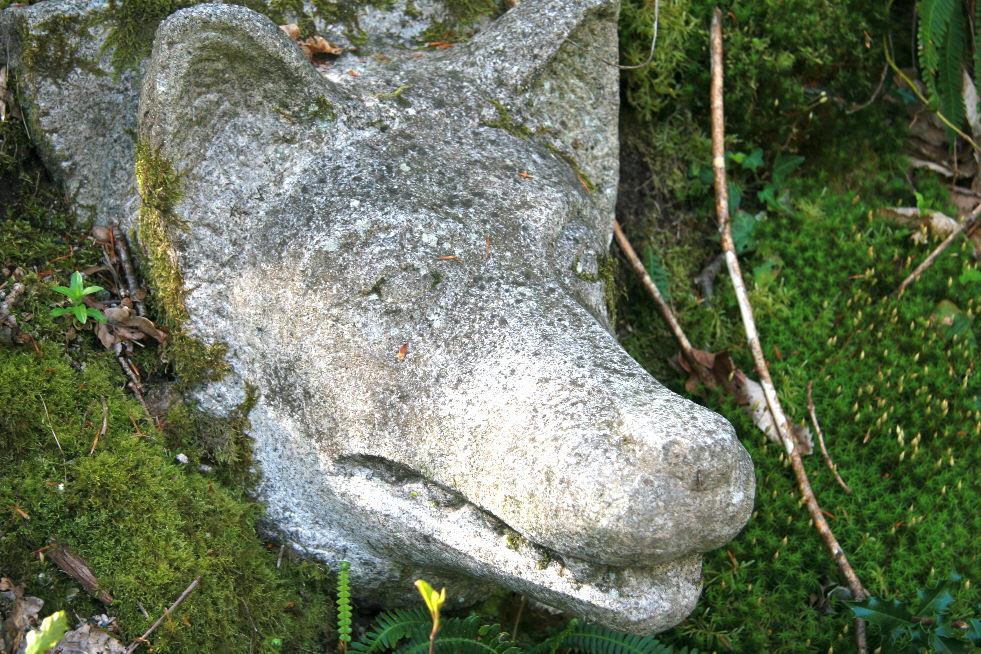 Le Bois de Chabannes - photo 2