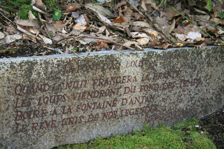 Le Bois de Chabannes - photo 5