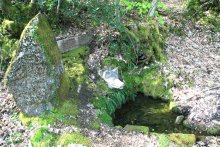 Le Bois de Chabannes