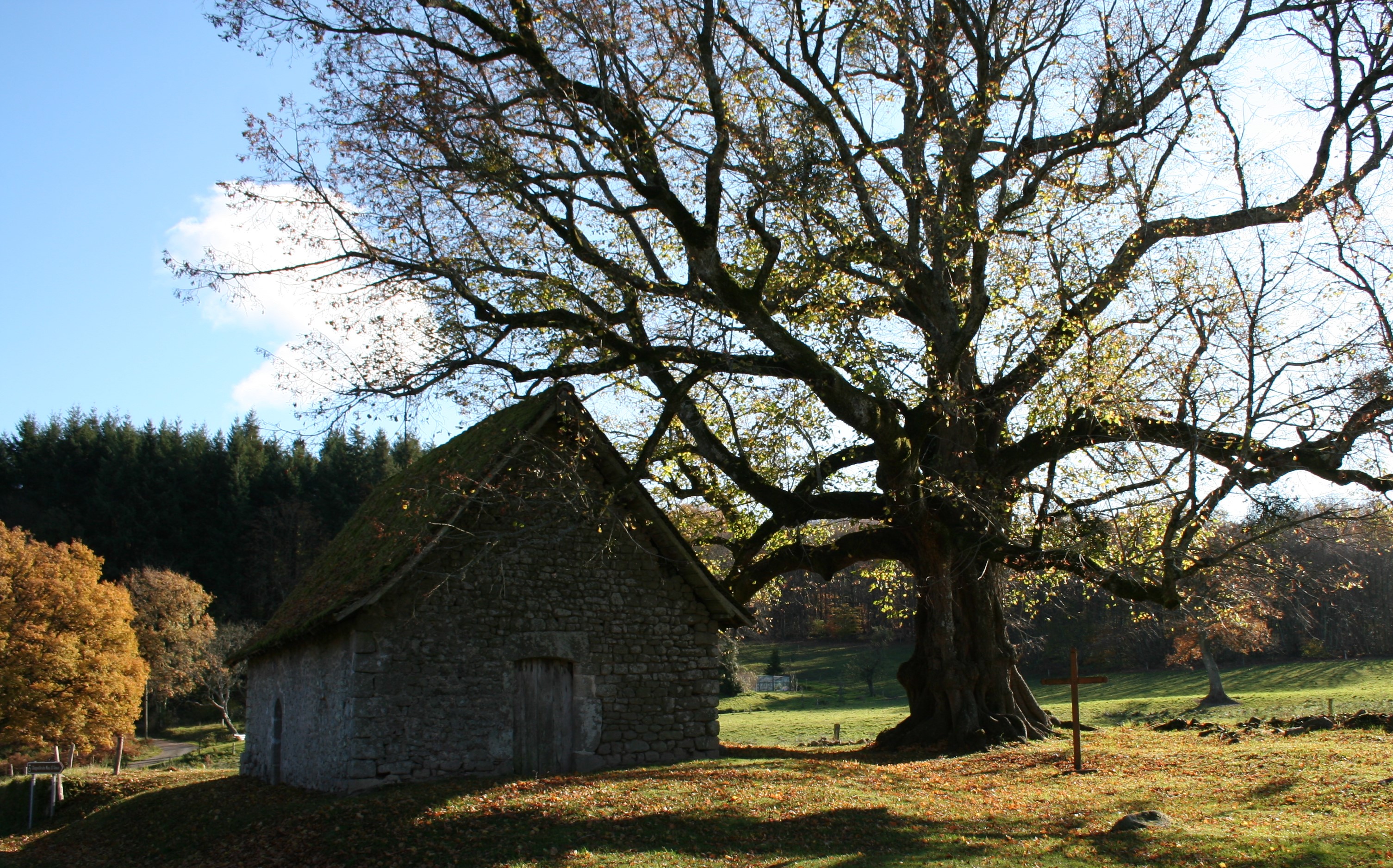 Le Bois de Chabannes - photo 4