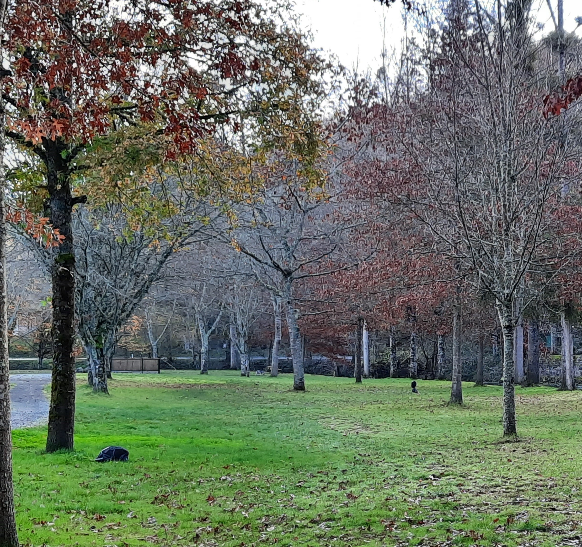 Camping Les Sillons - photo 4