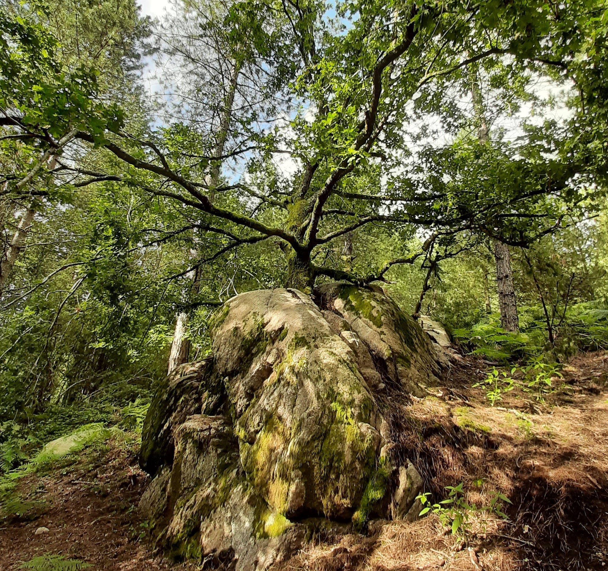 Les combes de la Cazine - photo 3