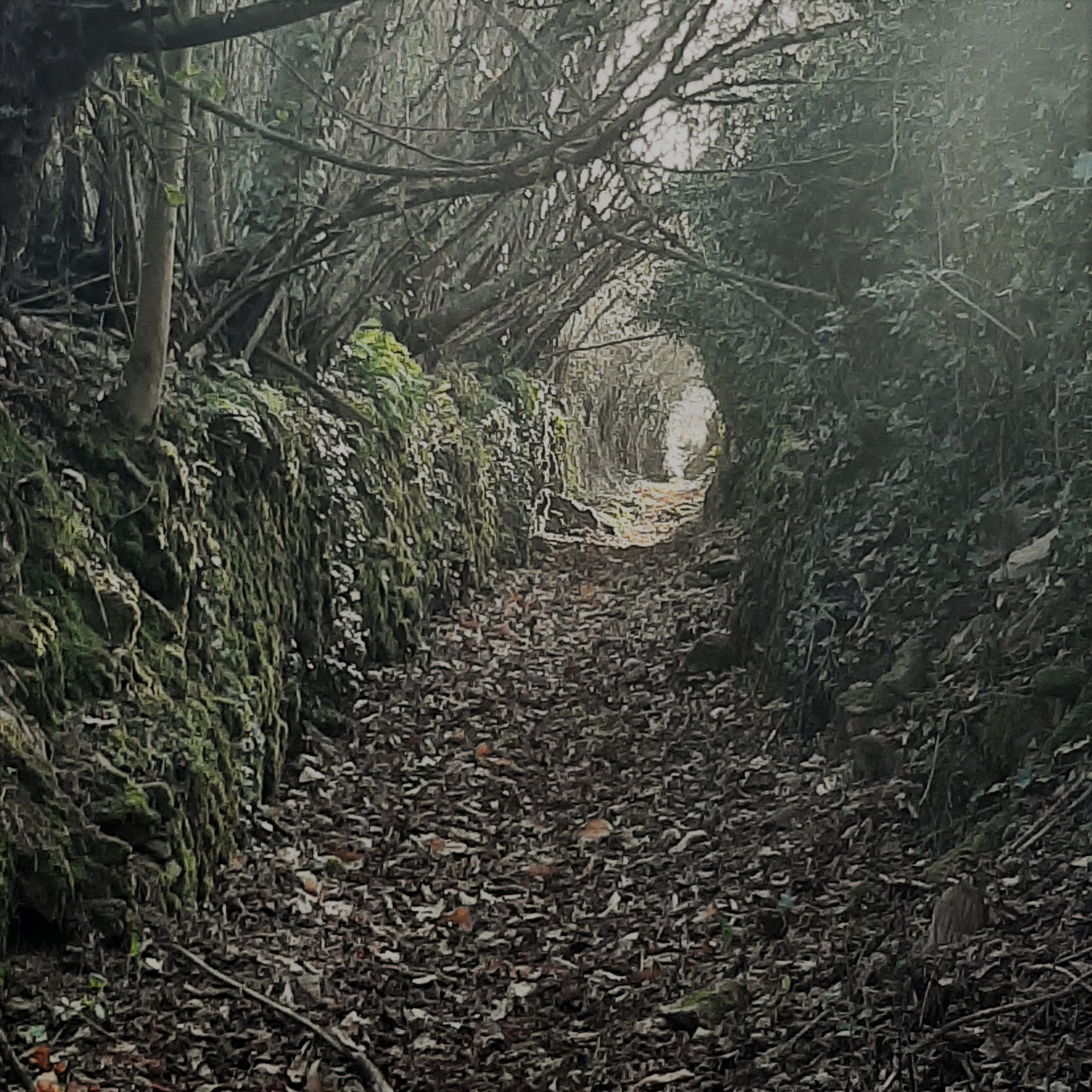 Les combes de la Cazine - photo 4