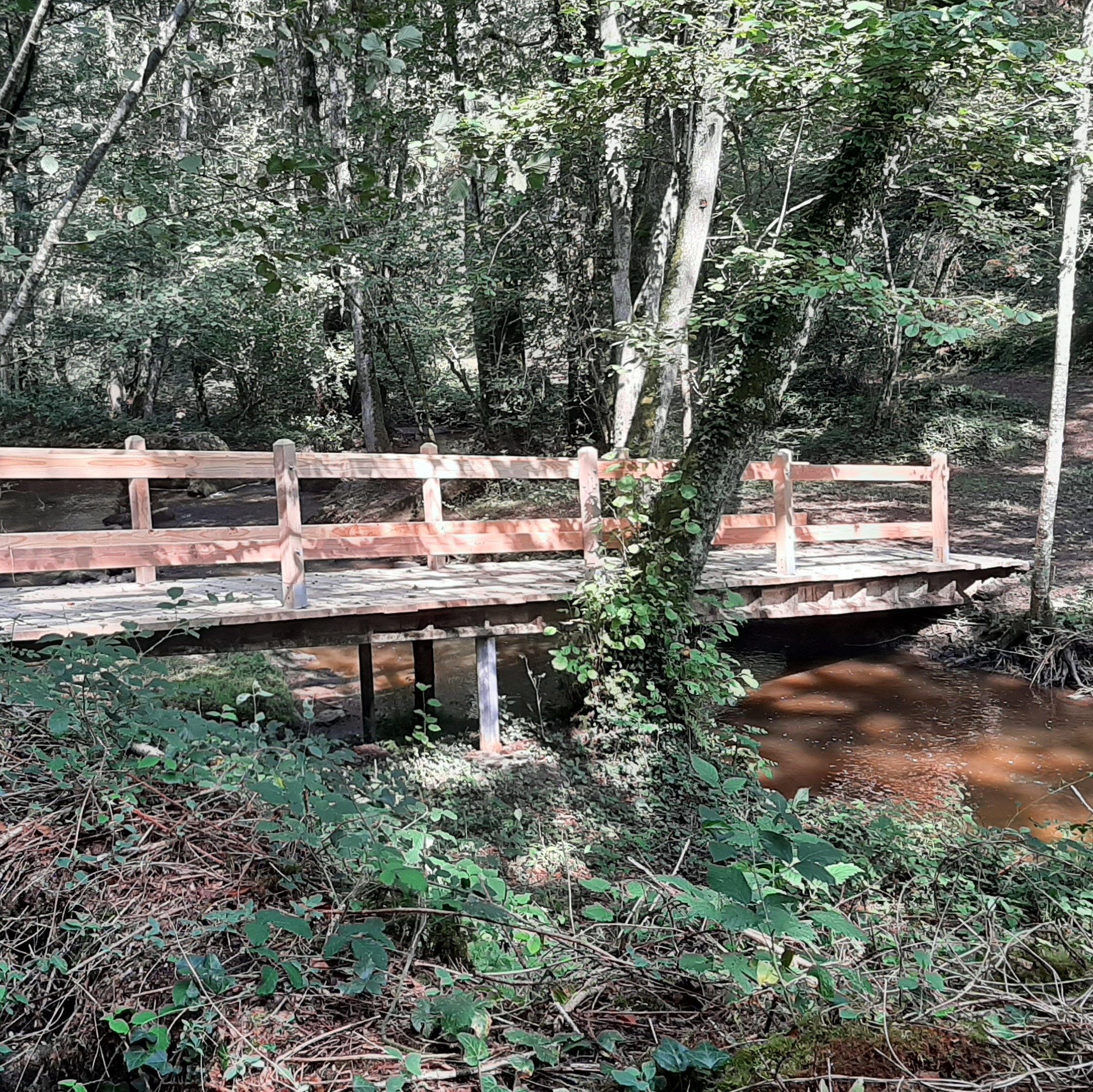 Les combes de la Cazine, Colondannes - photo 6