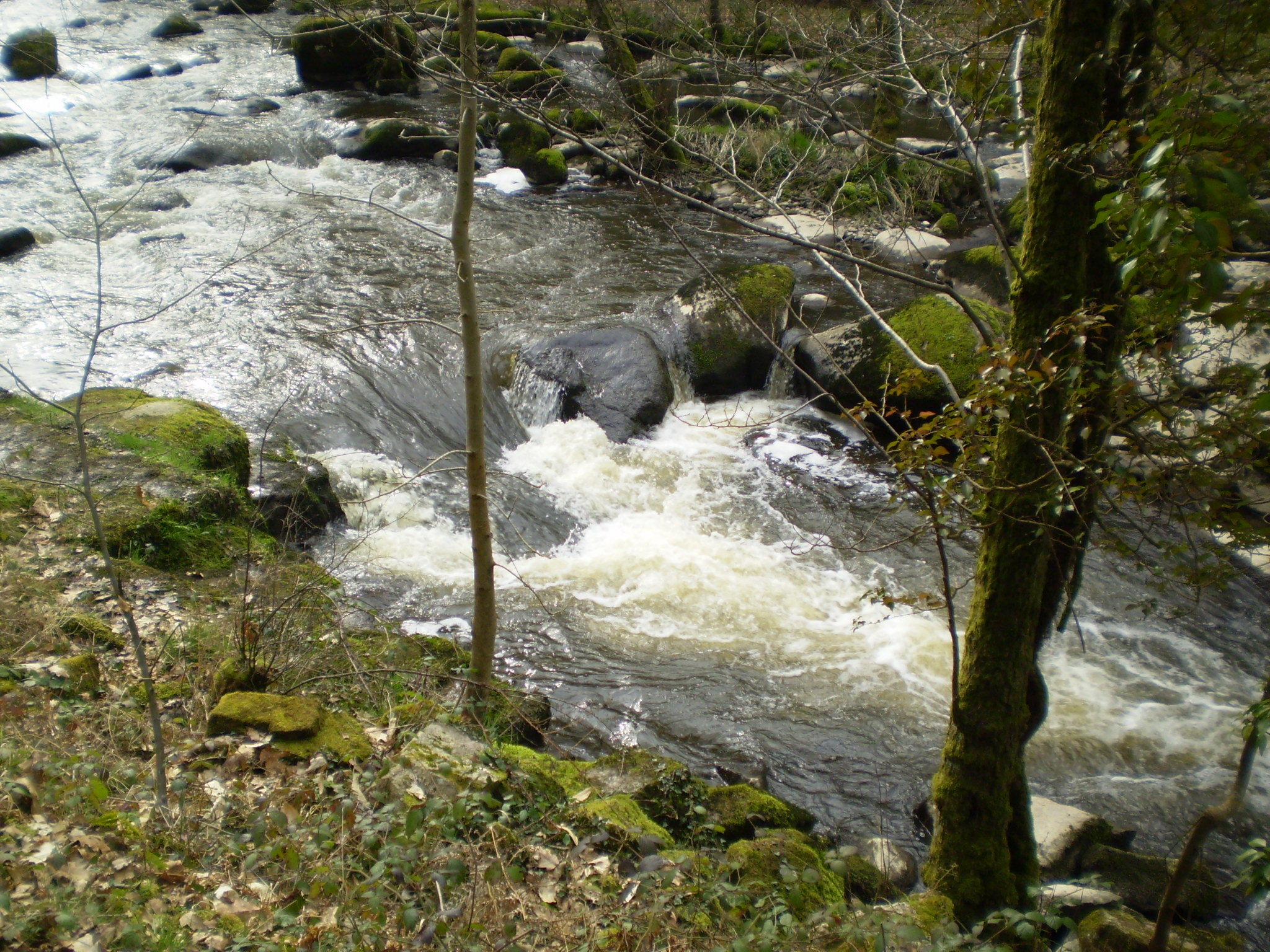 Bords de la Sédelle - photo 2