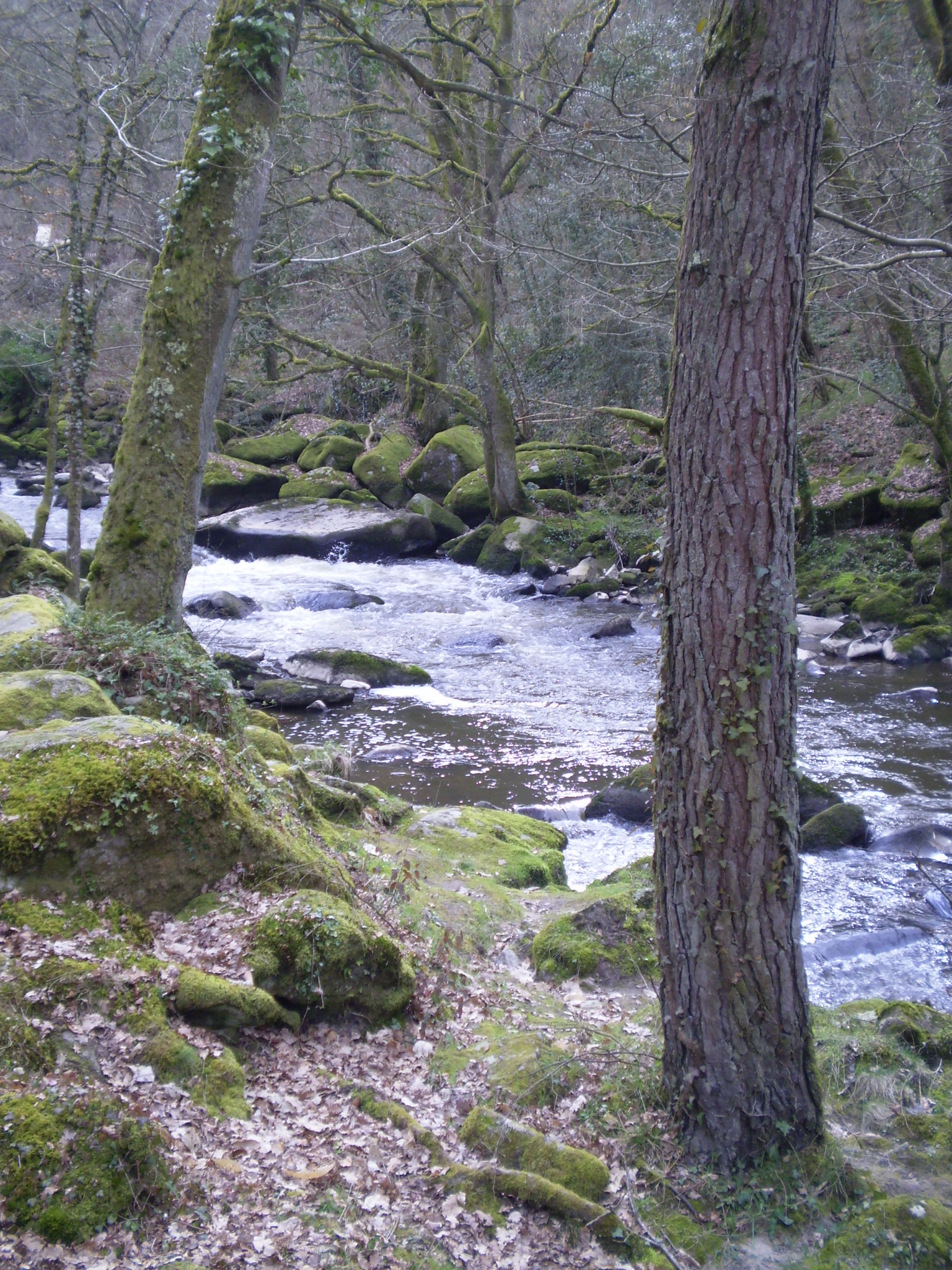 Bords de la Sédelle - photo 3