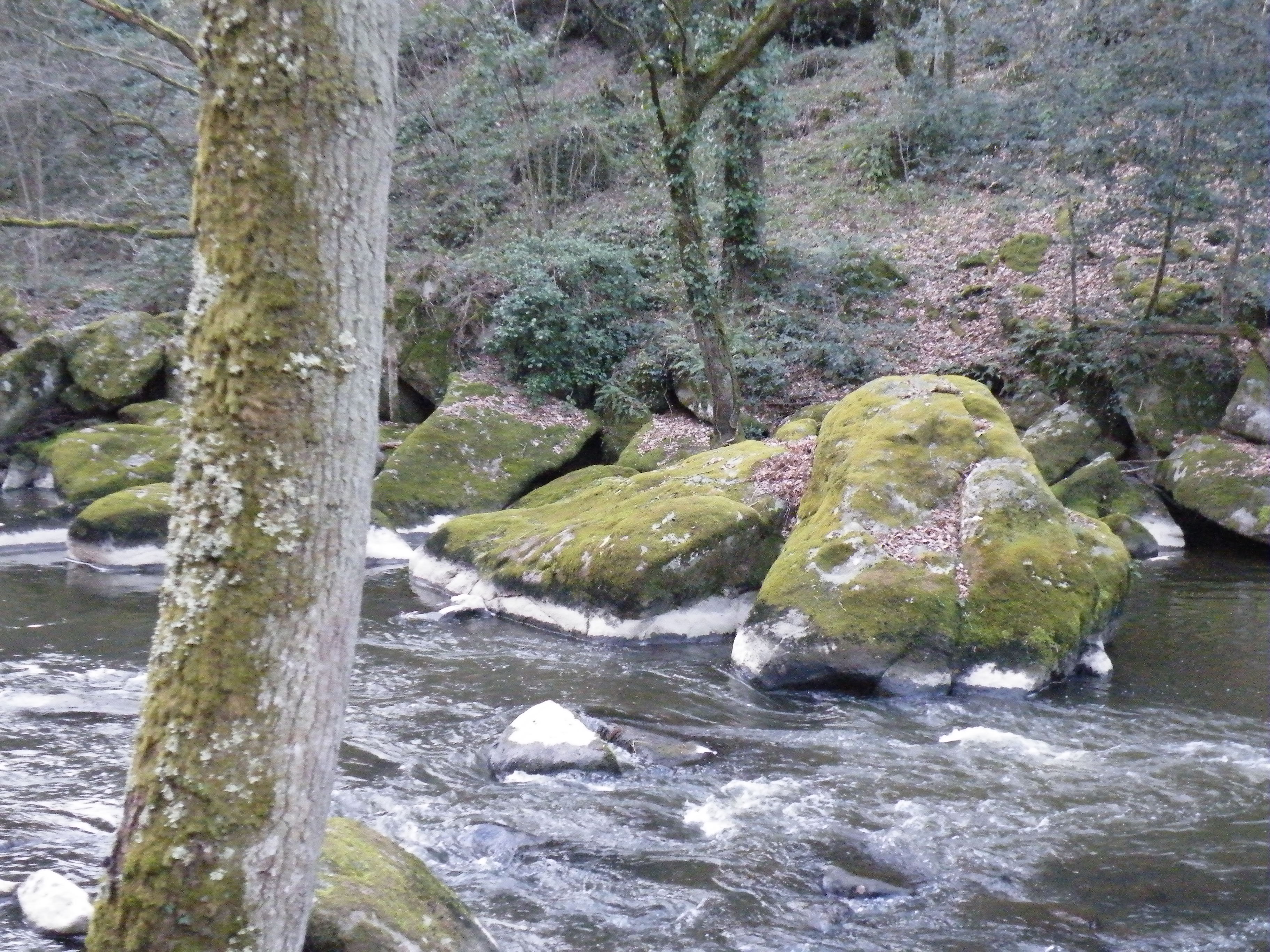 Bords de la Sédelle