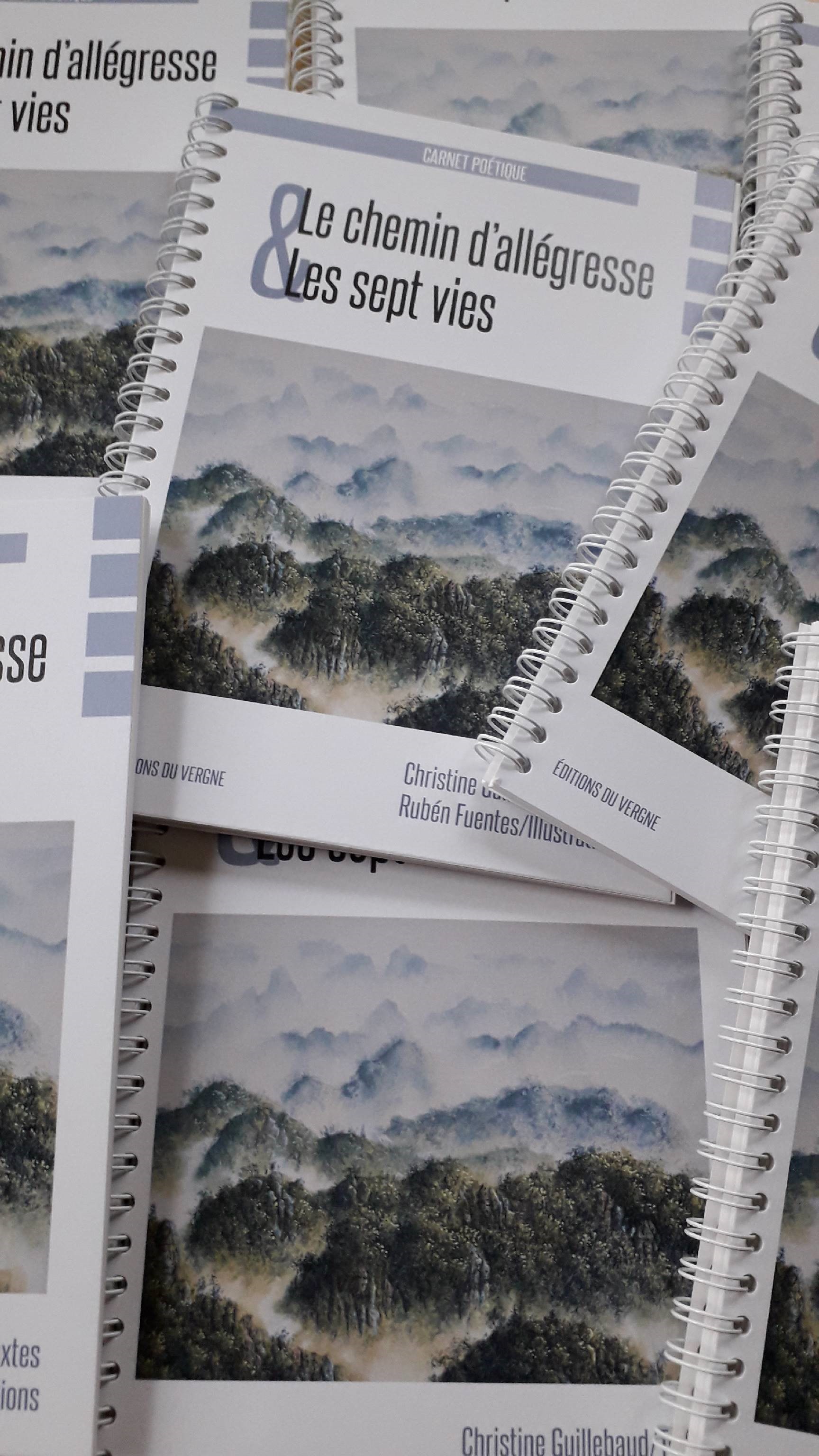 Atelier d'écrivain Christine Guillebaud - photo 3