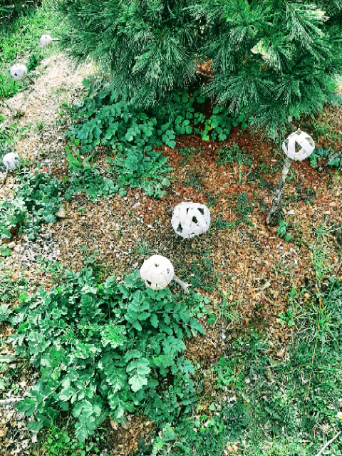 Le jardin de l'Usage des Jours, Saint-Sulpice-le-Dunois - photo 3