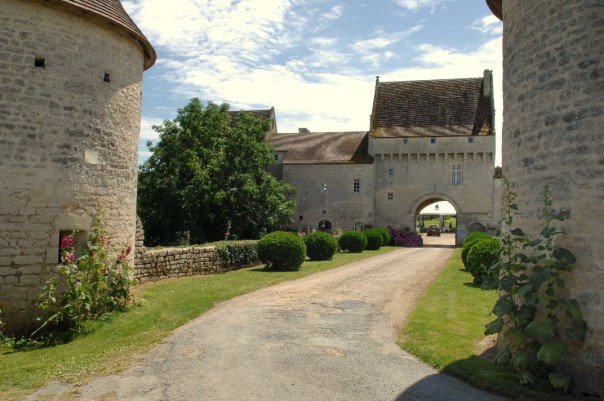 Château du Gazeau, Sainte-Ouenne - photo 2
