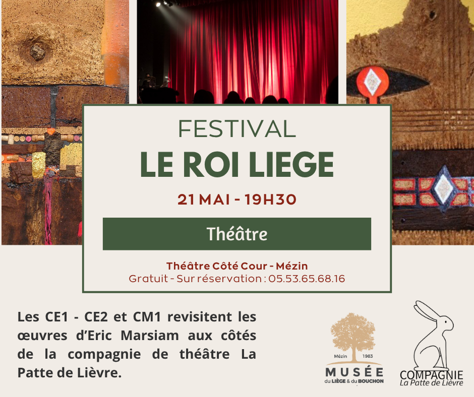 Festival le roi liège, Mézin - photo 8