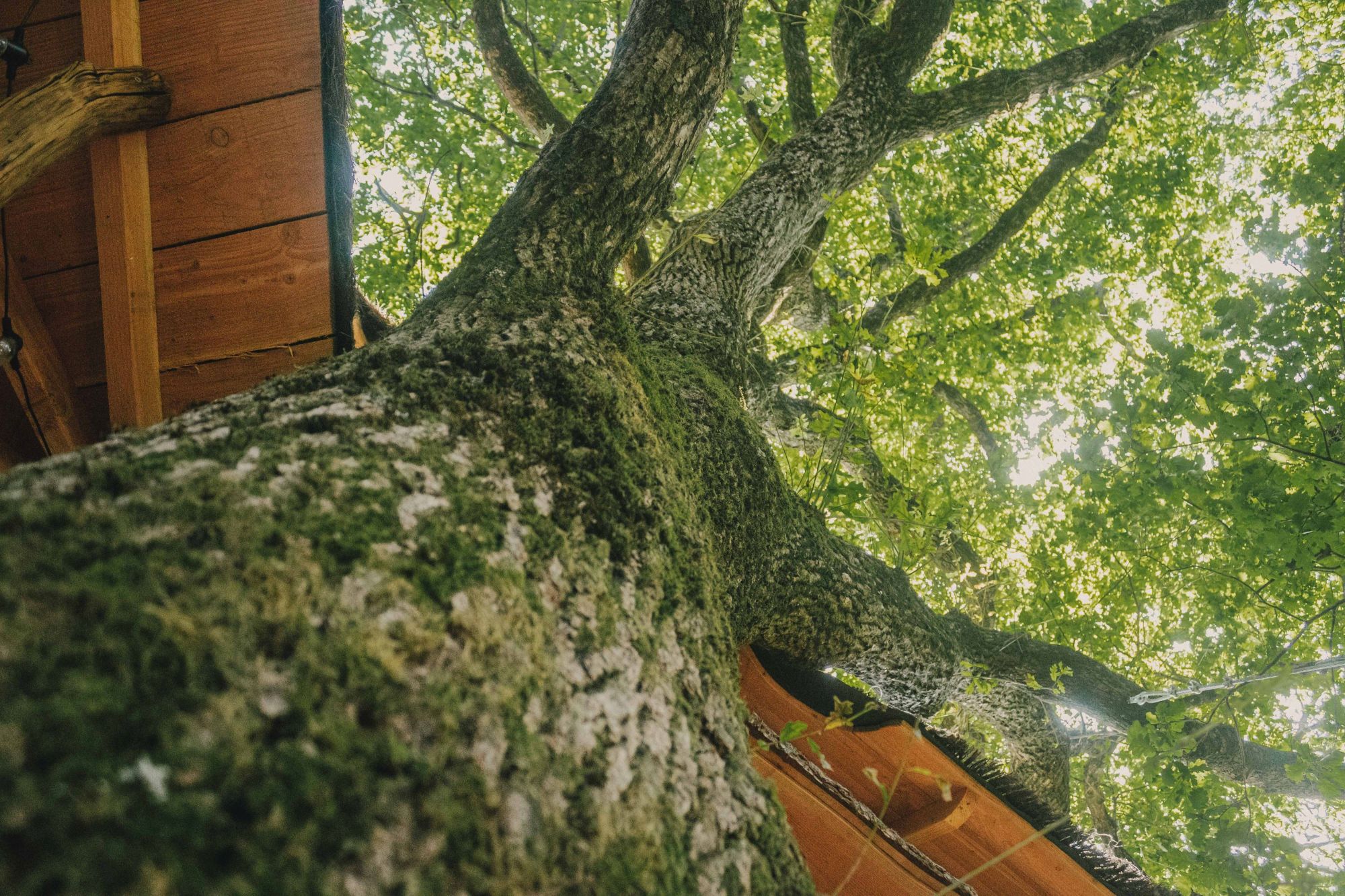 La CabaNoun, Coudures - photo 3