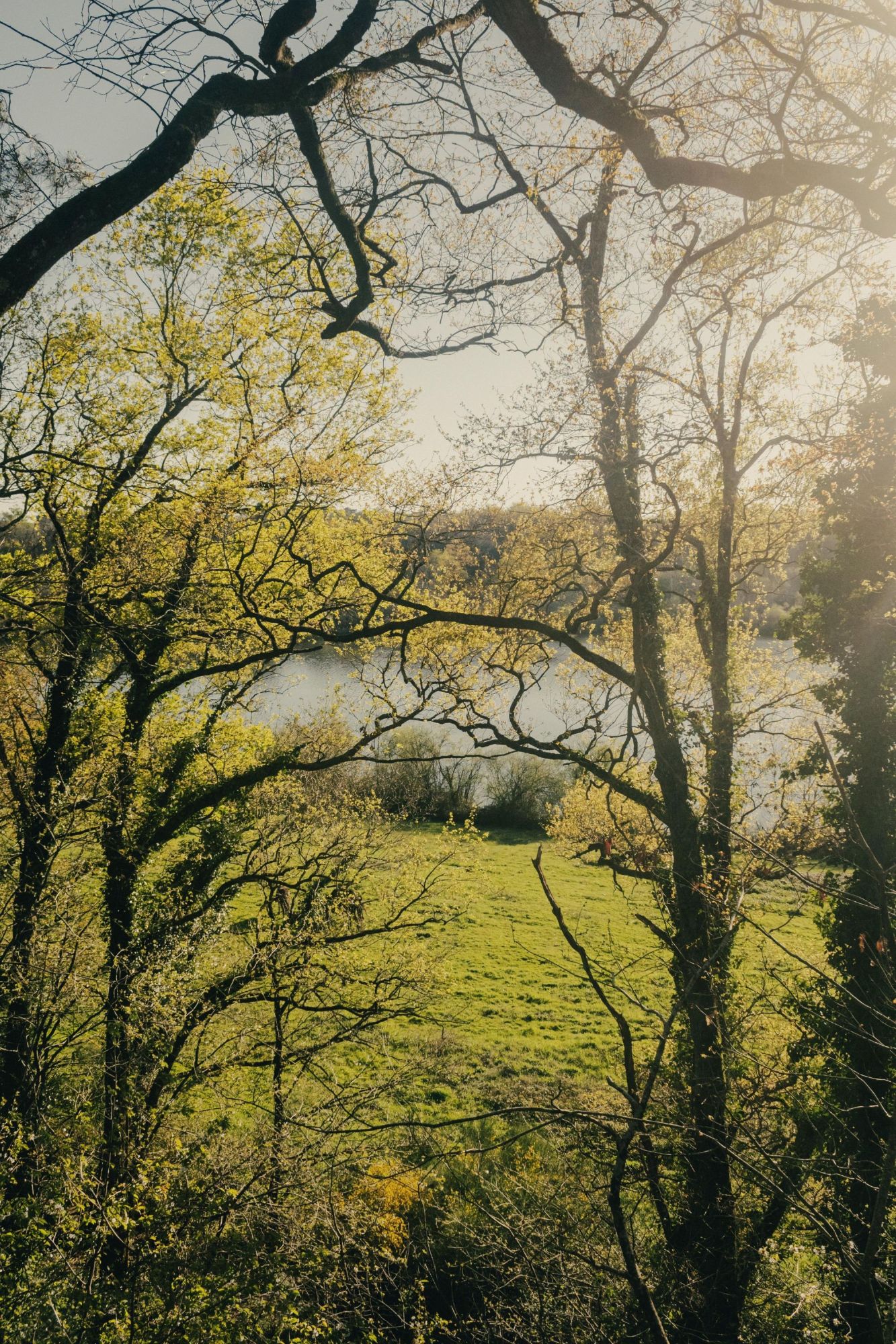 La CabaNoun, Coudures